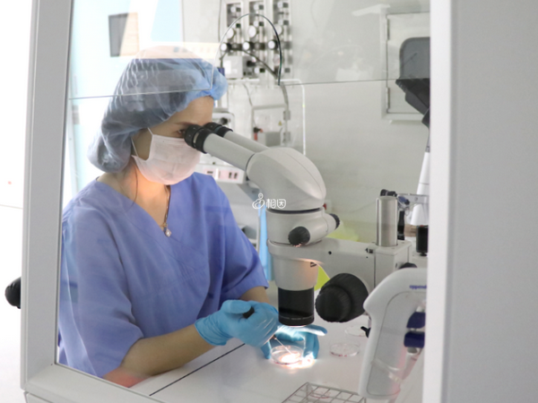 不孕抗体七项检查