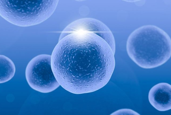 上海添一代怀孕妈妈