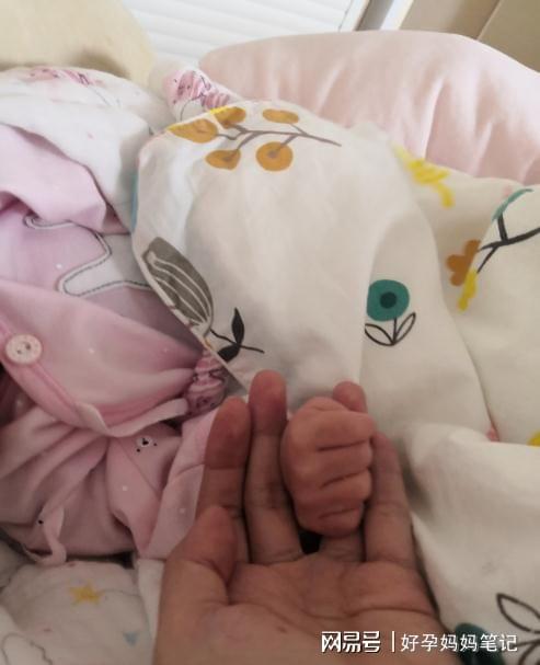 上海印度代孕中介